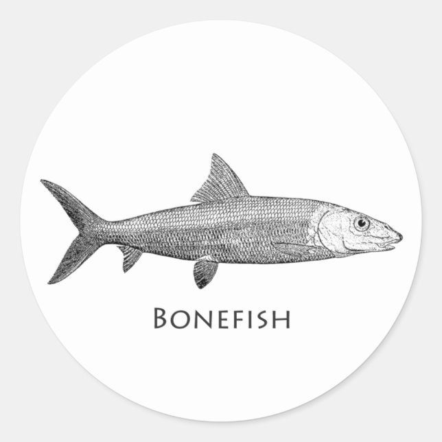 Sticker Rond Logo Bonefish (Devant)
