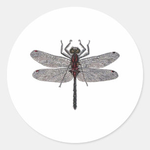 Sticker Rond Logo de libellule (couleur)