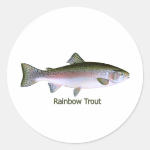 Sticker Rond Logo de pêche de truite arc-en-ciel