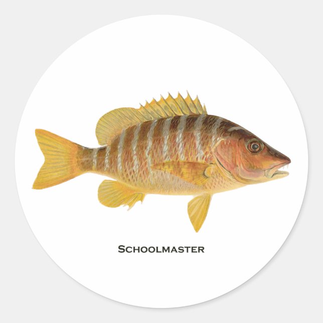 Sticker Rond Logo de Schoolmaster Fish (Devant)