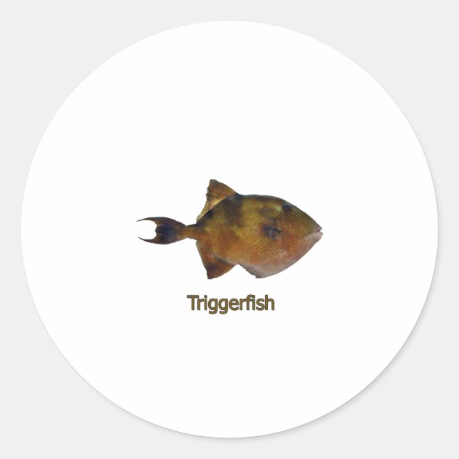 Sticker Rond Logo de trigogne gris (Devant)