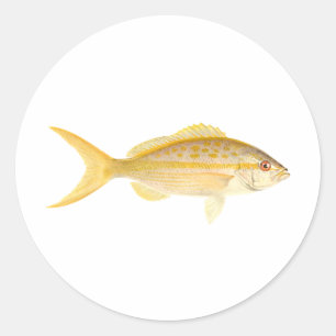 Sticker Rond Logo de Yellowtail Snapper