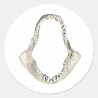 Logo Mako Shortfin Shark Jaws