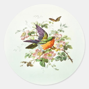 Sticker Rond L'oiseau et le papillon