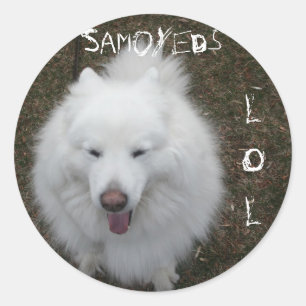 STICKER ROND LOL