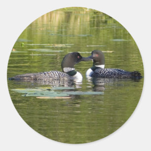 Sticker Rond Loons
