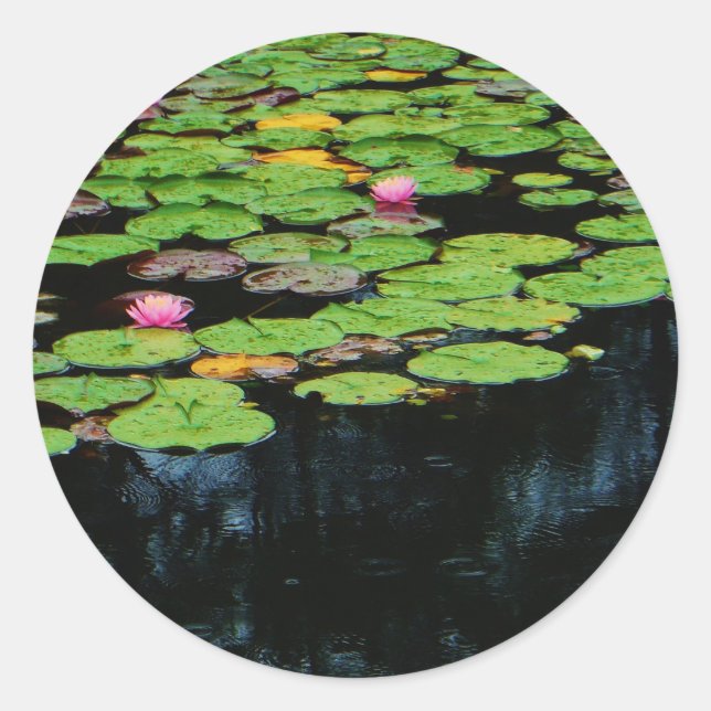 Sticker Rond lotus rose noir (Devant)