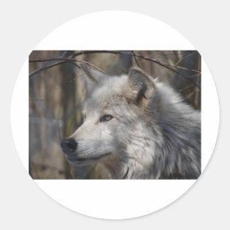 Sticker Rond Loup