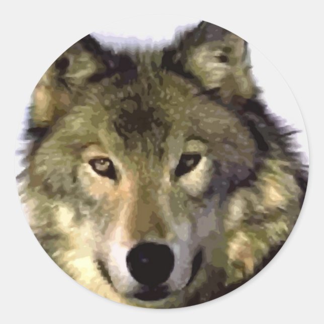 Sticker Rond Loup gris (Devant)