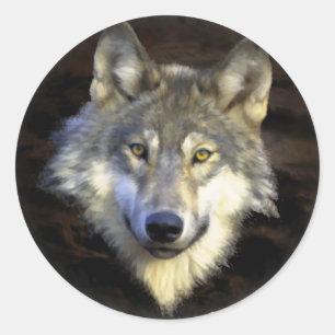 Sticker Rond Loup gris Tête Nature Canine Art animal