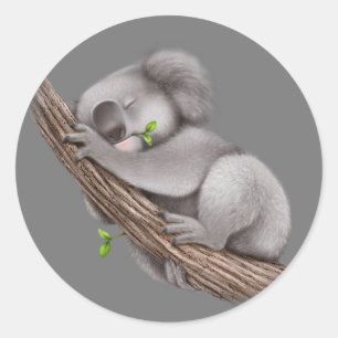 Sticker Rond Love Koala Bears