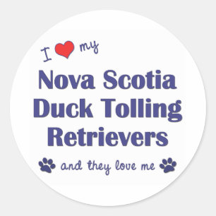 Sticker Rond Love My Nova Scotia Duck Tolling Retrievers (Ils)