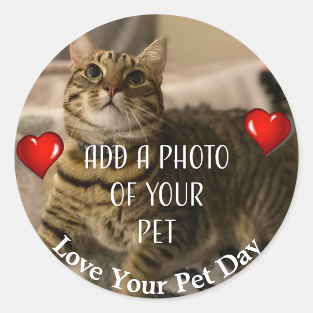 Sticker Rond Love Your Pet Day (Devant)