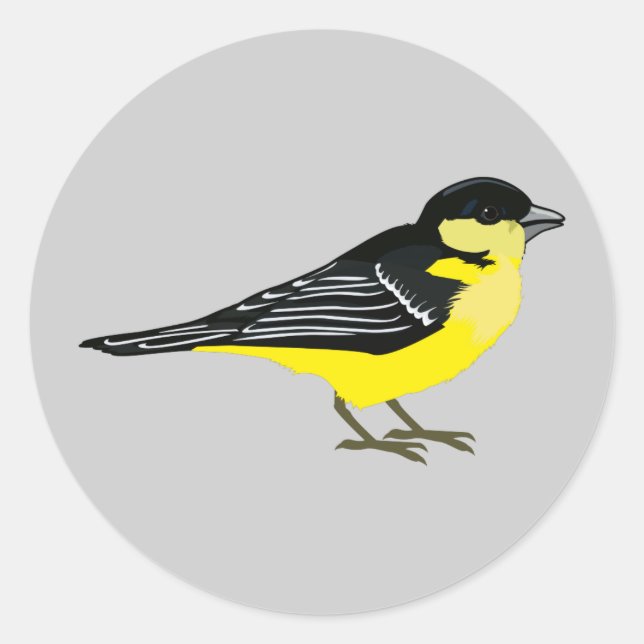 Sticker Rond Lovely Lesser Goldfinch (Devant)