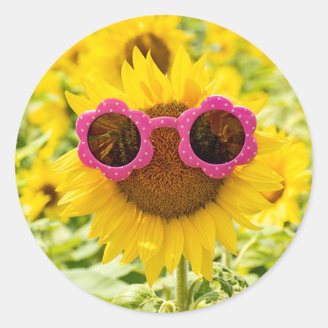 Sticker Rond Lunettes De Soleil Sur Tournesol (Devant)