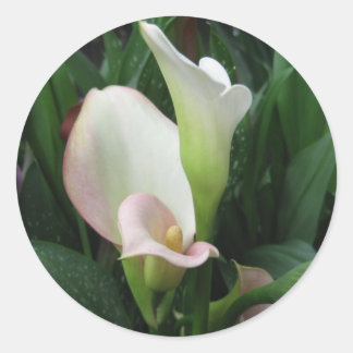 Sticker Rond Lys blancs