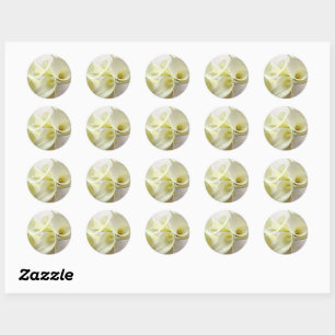 Sticker Rond Lys calcaires blancs d'en haut