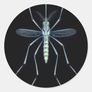 STICKER ROND M POWER,