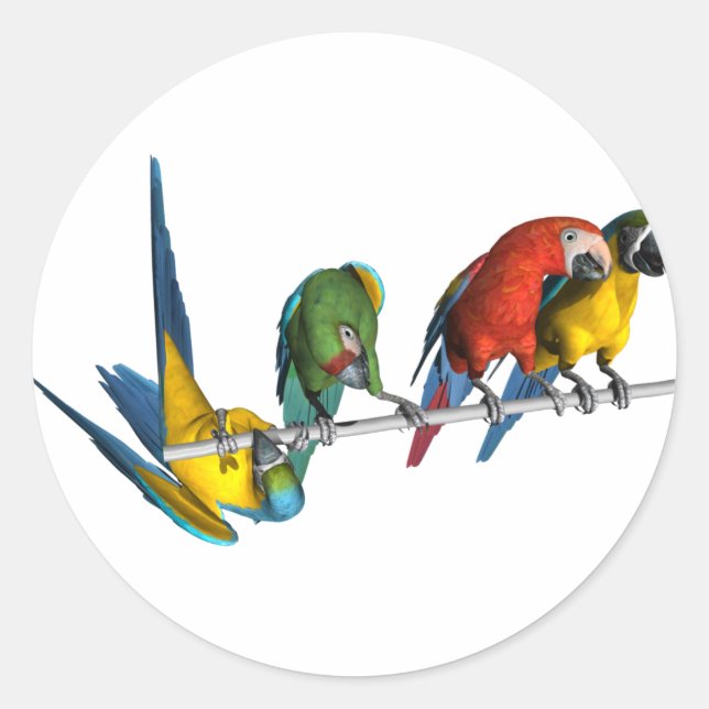 Sticker Rond Macaw Parrot (Devant)