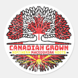 Sticker Rond Macédoine Macédonien Canadian Arbre Drapeau canadi