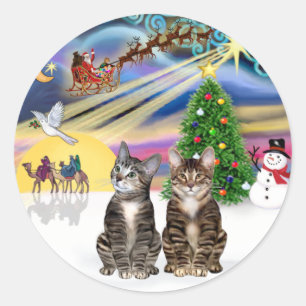 Sticker Rond Magie de Noël (R) - Deux chats tigrés marron
