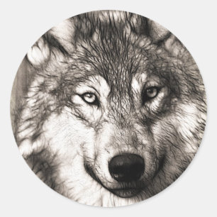 Sticker Rond Magnifique loup visage photo accessoires d'impress