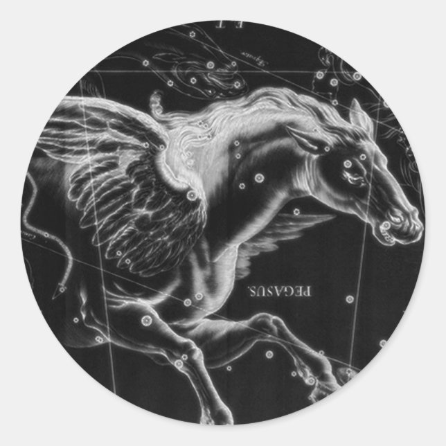 Sticker Rond magnifique mystique ailes volantes cheval (Devant)