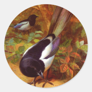 Sticker Rond Magpies