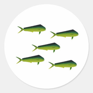 Sticker Rond Mahi Mahi Poisson - Dauphin - Dorado
