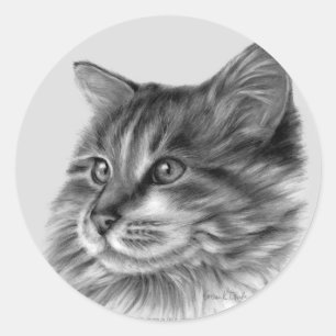 Sticker Rond Maine Coon