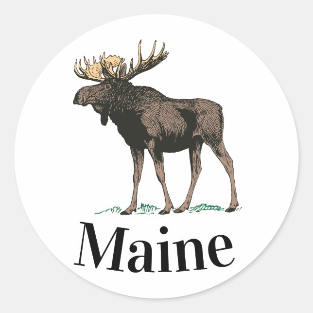 Sticker Rond Maine Moose (Devant)