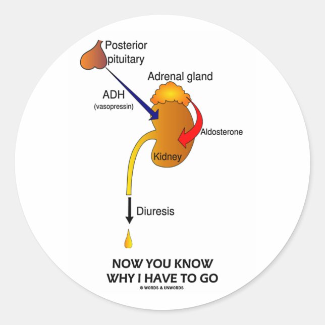 Sticker Rond Maintenant, Vous Savez Pourquoi Je Dois Y Aller (D (Devant)