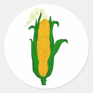 Sticker Rond Maïs épi de maïs corn cob