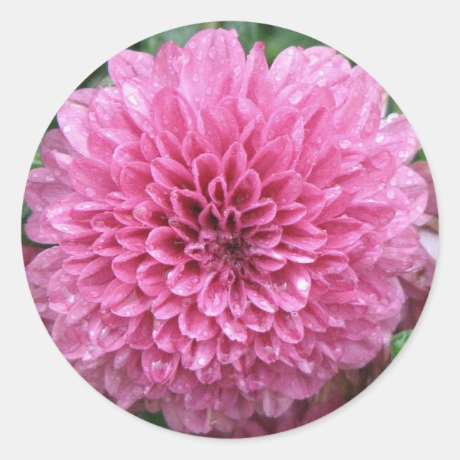 Sticker Rond Maman rose (Devant)