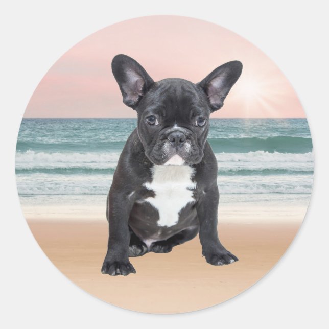 Sticker Rond Mare French Bulldog Beach Eau Soleil (Devant)