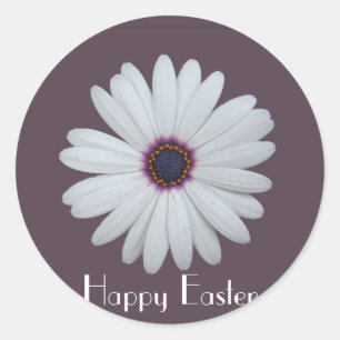 Sticker Rond Marguerite centrée par pourpre