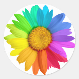 Sticker Rond Marguerite d'arc-en-ciel