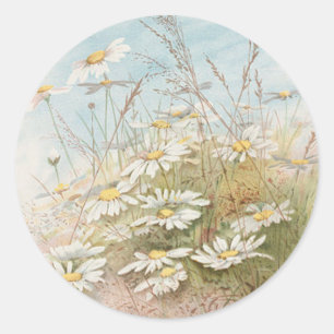 Sticker Rond Marguerite vintage Dans Un Champ Carte Pâques