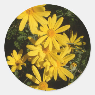 Sticker Rond Marguerites jaunes
