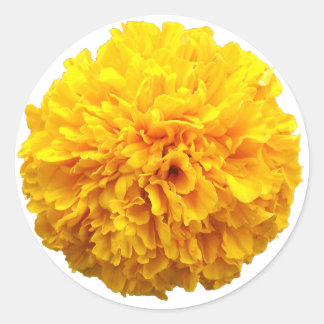 Sticker Rond Marigold