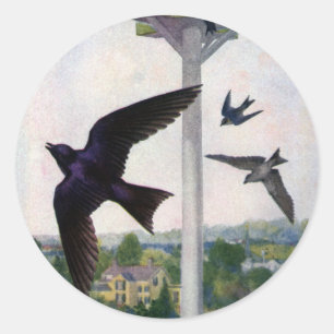 Sticker Rond Martins pourpres et leur maison d'oiseaux
