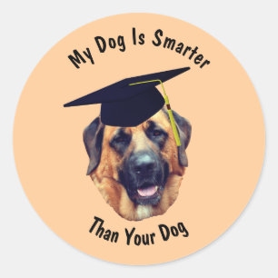 Sticker Rond Mastiff Mon chien plus intelligent que votre chien
