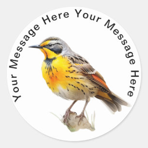 Sticker Rond Meadowlark orientale
