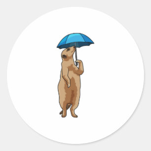 Sticker Rond Meerkat avec parapluie