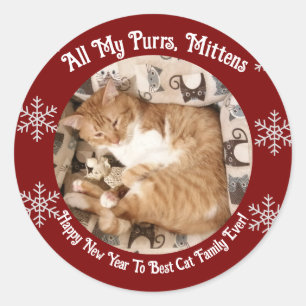 Sticker Rond Meilleure famille de chats jamais, Photo de chat,