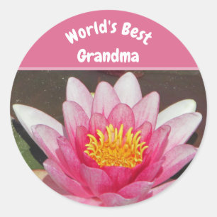 Sticker Rond Meilleure Grandma Vivid Pink Water Lily Flower