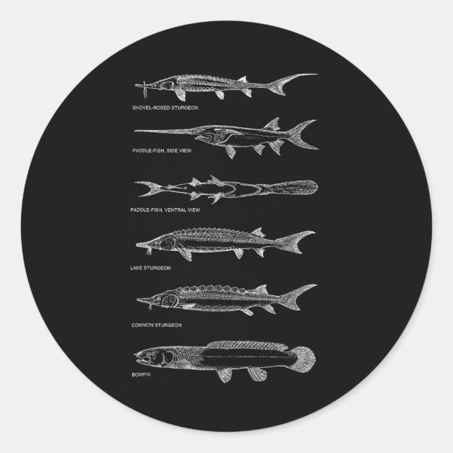 Sticker Rond Meilleurs poissons d'esturgeon Paddle Fish Bowfin  (Devant)