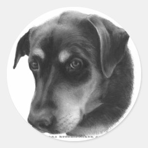 Sticker Rond Mélange Rottweiler-Lab