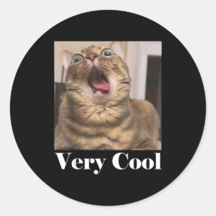 Sticker Rond Mème de chats Graphique Humour de chat idiot Drôle