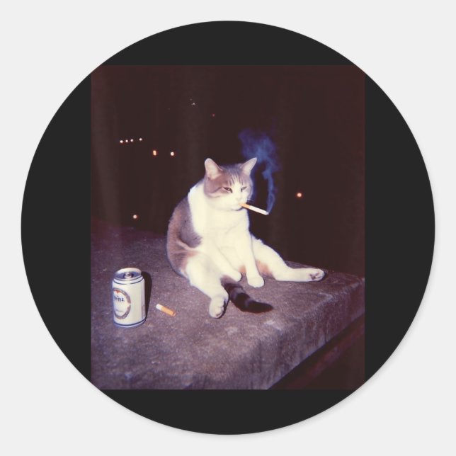 Sticker Rond Mème Fumeur Drôle Cigarette Kitten Brainrot Silly (Devant)